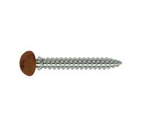 Vis cadre PVC Marron FRAMEX CLIP TX 25 6X70 bte de 100 Mustad