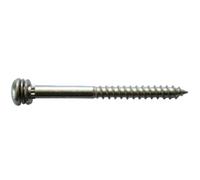 Vis MUSTAD Pour assemblage mécanique - Tête ronde Torx 40 - Zingué blanc - Ø7x110 - Boite de 400 - LT290B701100B8
