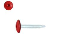 Vis penture autoperceuses 4,8x38 mm RAL 3020 rouge signalisation zinguées par 50