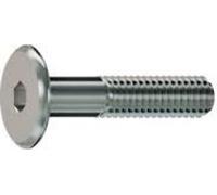 Vis pour meubles. type BD 15 M6x100 ZB - paquet de 100 pièces