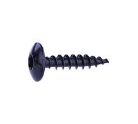 Vis spéciale penture tête étoilée acier zingué noire - 6x30-10 pces - FixPro