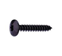 Vis spéciale penture tête étoilée acier zingué noire - 6x40-10 pces - FixPro