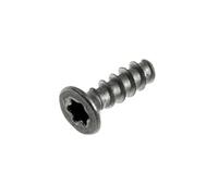 Vis TSP TORX 10 3X10 PLAST.SS 12000895 / 996530007951