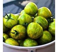 VISA STORE 100 Graines bio, Tomate Green Zebra nouvelles semences pour 2017