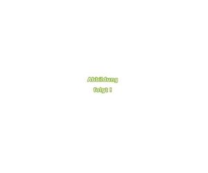 VISO CSC501 Leitkegel 50 cm (B x H) 290 mm x 50 cm