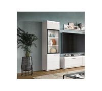 Vitrine 1 porte 45x3x160 cm blanc - ICEDY