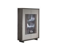 Vitrine 2 Portes Gris Acier Metallisé et Gris Mat avec Leds - AUXANE -
