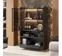 Vitrine - GUTENT - Noir - Éclairage LED 16 couleurs - Verre trempé - 2 portes pliantes