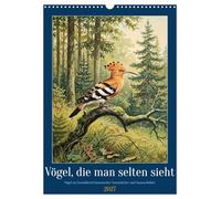 Vögel, die man selten sieht (Wandkalender 2027 DIN A3 hoch), CALVENDO Monatskalender: Seltene Begegnungen der europäischen Vogelwelt in klassischer Naturillustrations-Ästhetik