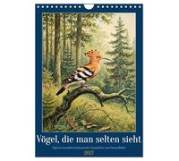 Vögel, die man selten sieht (Wandkalender 2027 DIN A4 hoch), CALVENDO Monatskalender: Seltene Begegnungen der europäischen Vogelwelt in klassischer Naturillustrations-Ästhetik