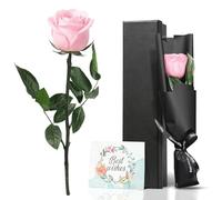 VOIDHUES Rose Eternelle en Coffret Rrose Éternelle Préservée avec Tige, Cadeau Floral Longue Durée pour Femme, Cadeau Grand Mere pour Les Anniversaires Saint Valentin (Rose)