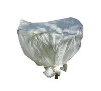 Voile d'hivernage pour plantes 2m x 5m 30g/m² - Blanc