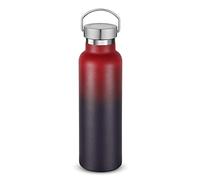 Volhoply 600ml Bouteilles D'eau en Acier Inoxydable Avec Poignée, Bouteille Isotherme à Double Paroi Avec Couvercle Anti-Fuite, Tasse Réutilisable en Métal Pour L'école, Randonneurs, Cadeaux