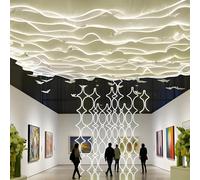 VOLURE Rideaux de Plafond Lumineux avec lumières LED, Multicolores, Plusieurs Tailles(50mx0.6m,WhiteVeil+WhiteLight)