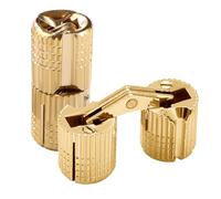 VooGenzek 2 Pièces 10mm Charnière Invisible Laiton Tonneau, Charnière Laiton Caché Ouverture à 180° Angle, Charnières à Barillet Dissimulées, pour Boîtes à Cadeau Bijoux Bricolage