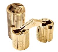 VooGenzek 2 Pièces 16mm Charnière Invisible Laiton Tonneau, Charnière Laiton Caché Ouverture à 180° Angle, Charnières à Barillet Dissimulées, pour Boîtes à Cadeau Bijoux Bricolage