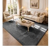 VOUNOT® Tapis de salon poils ras doux antiderapant 200x300cm uni anthracite