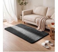 VOUNOT® Tapis de salon poils ras doux antiderapant 80x150cm uni anthracite