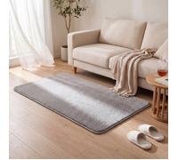 VOUNOT® Tapis de salon poils ras doux antiderapant 80x150cm uni gris