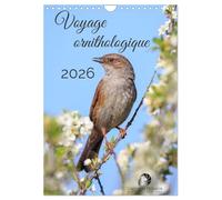 Voyage ornithologique (Calendrier mural 2027 DIN A4 horizontal), CALVENDO calendrier mensuel: Un calendrier fascinant qui vous fait explorer, mois ... la diversité des oiseaux à travers le monde.
