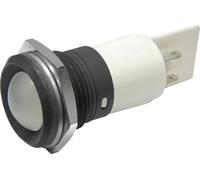 Voyant de signalisation LED CML 195A1251MUC vert 12 V/DC, 12 V/AC 16 mA 1 pc(s)