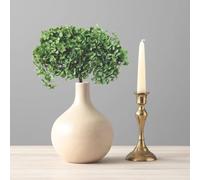 Vrai Hortensia stabilisé éternel Vert - Bouquet de Fleurs séchée Naturelle préservée - Bouquet XL composé d'une ou 2 tiges Grand Format (Vert)