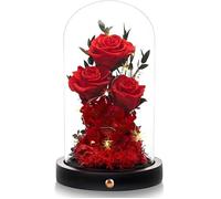 Vrai Rose Eternelle sous Cloche,Femmes Cadeau Anniversaire,Rose Fleur avec LED Lumières, Rose sous DôMe,Cadeau Saint Valentin Noël-C
