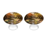 VstaDank Beau bouton de tiroir rond en acier inoxydable robuste avec vis de montage pour placard, salle de bain