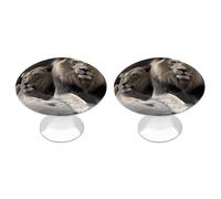 VstaDank Lot de 2 boutons d'armoire ronds mâles et femelles Lions - Poignées de tiroir simples avec vis en alliage d'aluminium - Poignée de porte de placard moderne pour tiroirs de commode