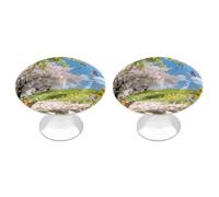 VstaDank Printemps - Lot de 2 poignées de tiroir rondes en acier inoxydable pour commode, placard, porte de placard
