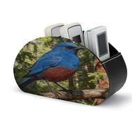 VstaDank Support de télécommande en cuir avec 5 compartiments Bleu forêt foncé Flamme Support de télécommande Boîte de rangement Boîte de rangement pour lecteur multimédia Chauffage Contrôleur