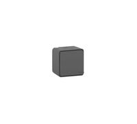 Schneider Electric – Va-et-vient lumineux LED Mureva Styl MUR35025 – IP55 IK08 connexion auto – Gris