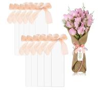 VYNZOR Lot de 10 marque-places en acrylique transparent avec ruban vierge, étiquettes cadeaux, cartes de nom d'invités, décoration de table pour mariage, dîner, fête