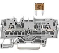WAGO 2002-1681 - Borne de fusible grise 2 fils 2,5 mm²
