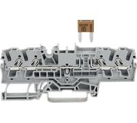 WAGO 2002-1881 - Borne de fusible grise 4 fils 2,5 mm²