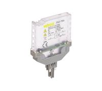 WAGO 2042-7504 Module relais à semi-conducteurs 1 pc(s)