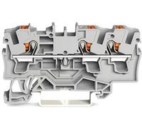 WAGO 2204-1301 Borne de passage 6.20 mm Push-In gris 50 pc(s)