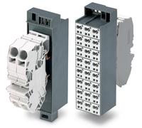WAGO 726-662 Bloc de liaison équipotentielle 10 pc(s)