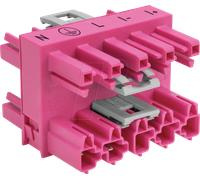 WAGO 770-1746 - WINSTA® midi, répartiteur à 3 sorties, 5 broches, rose