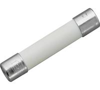 WAGO 855-8020 Set d'accessoires 855-8020 100 pc(s)