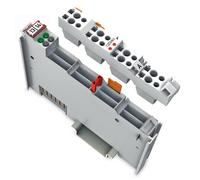WAGO 753-513 - Sortie relais 2 canaux, 250 V CA, 2,0 A, flottant, 2 contacts NO