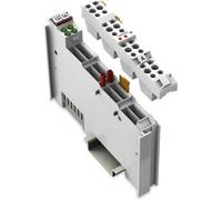 WAGO API - Module de sortie numérique 753-516 1 pc(s)