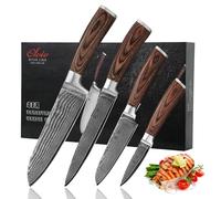 WAKOLI EDIB Set de 4 Couteaux Cuisine Professionnels en Damas, Noyau VG10