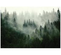 WallArena Fond d'écran photo, Moderne 400x280cm | Papier Peint Intissé de Haute Qualité, Impression latex, Résistant aux UV