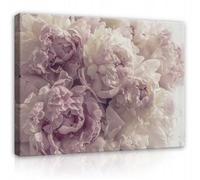 WallArena - Impression sur toile - Fleurs Pivoines - 60x40 cm - Tableau decoration murale - Tableau mural XXL grand format pour salon, chambre à coucher - Impression artistique - Nature Rose