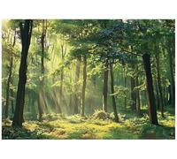 WallArena - Papier peint panoramique intissé Forêt 350x250 cm - Papier peint photo non tissé - Pour salon et chambre à coucher - Effet 3D - Avec colle - Paysage, nature, vert