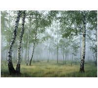 WallArena - Papier peint panoramique intissé Paysage 250x175 cm - Papier peint photo non tissé - Pour salon et chambre à coucher - Effet 3D - Avec colle - Jungle Feuilles Montagnes Forêt