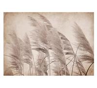 WallArena Papier peint photo intissé Beige368x254cm