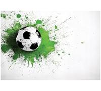 WallArena Papier peint photo intissé football300x210cm | Papier Peint Intissé de Haute Qualité, Impression latex, Résistant aux UV