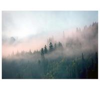 WallArena Papier peint photo intissé, Forêt, 400x280cm